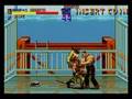 Final Fight Boss Kills (Haggar)