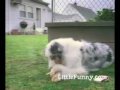 FUNNY & ACCIDENT CLIPS(keshab khadka)