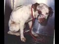 dont-give-up-on-the-pits.html