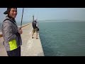 文傑博魚