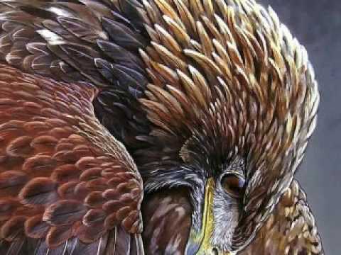 golden eagle