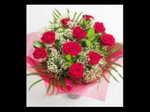 20 rosas download