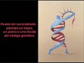ADN Biológico y ADN Energético