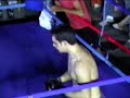 FREE FIGHT. Antonio Marino vs Skouloudis FREE FIGHT. Antonio Marino vs Skouloudis