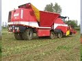 Arrachage des betteraves (GRIMME Maxxtron 620)