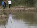 Dallam Anglers