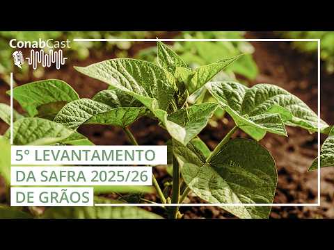 Estimativa da produção de grãos na safra 2025/26 é atualizada para 353,4 milhões de toneladas