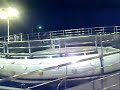 TAGADA PISANELLO VUOTO A COPERTINO