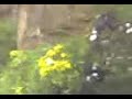 fantasma niña dia soleado
