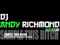 Andy Richmond-Sample This Bitch-Virus Audio