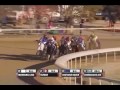 2010 Breeders' Cup Dirt Mile 