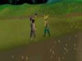 teh noob show we will own you