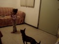 LYNDINETH NO LES QUIERE DAR GALLETA A LOS PERROS..!!