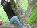 Laura stuck in a tree