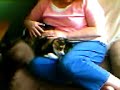 Search Video
