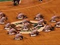 boston celtics