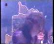 Andy Scott's Sweet- Wig Wam Bam/Little Willy 1997