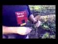 Taller de Huerta / Capitulo 4