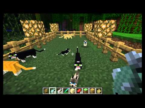 how to ocelot minecraft