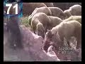yenilli köyü