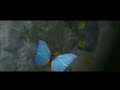 Knight Online Fragman Videosu