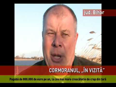 Crescătoriile de peşte din România, în pericol