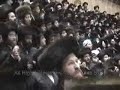 bobov purim trink 2 bobov purim trink 2