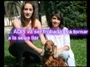 2� Video gala presentaci�n Lacua
