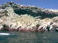 Paeo por Paracas