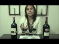 Cata de Vino Alto Pampas