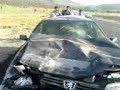 ویدیو جالب تصادف یک دستگاه پژو با جناب خر