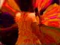 Crystal Ship/Light My Fire