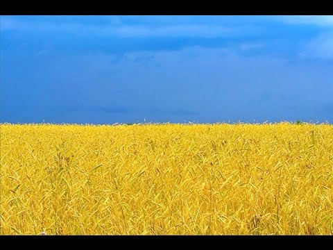 Фільми українською мовою, українське кіно