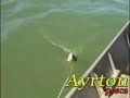Programa de pesca - Ayrton pesca - Piapara