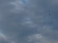Jay Cochrane Tightrope Walking