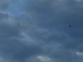 Jay Cochrane Tightrope Walking