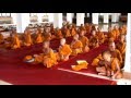 Thai Baby Monks falling asleep while meditating ...