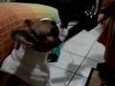 Hora de secar
