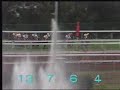 我係馬王你唔係香港邀請盃 (沙田1800米) 15/12/1991 (翠河, 審慎)「翠河」榮膺首匹三冠王一九九四年五月十五日，香港第一匹三冠馬王「翠河」在沙田馬場加冕。「翠河」於八九/九○年度來港，是首批自購新馬（PPG）之一。牠在九○/九一年度馬季開始上陣，六戰全勝，包括香港打比大賽。香港三冠大賽開辦的頭兩年，「翠河」都在首關屈居第二，直至九三/九四年度馬季，終能連闖董事盃、香港金盃以及香港冠軍暨遮打盃三關，成為第一匹，也是至今唯一的香港三冠王。這匹在九○/九一、九一/九二以及九三/九四年度三度當選香港馬王的名駒，曾於九一年十二月奪取香港邀請盃，擊敗「審慎」、「太子」等外來強敵；後來又曾先後遠征美國雅靈頓百萬金大賽、澳洲覺士盾及墨爾本盃，為香港賽駒衝向世界的先驅。在其競賽生涯中合共取得十六捷，包括連奪四屆香港冠軍暨遮打盃(九一至九四年)，連續三年在香港金盃稱霸(九二至九四年) ，以及女皇盃等等。