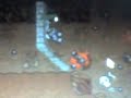 tibia my first rat