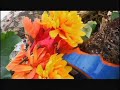 Tim Fite - Yesterday\