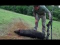 Hog Hunting Wild Boar Texas: Part 6 .223 @ 150 yds, Head Shots Guys!!!