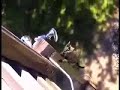Cat Mission Impossible - котэ миссия невыполнима