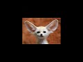 PM (slow version).flv