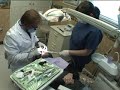Media Cosmetic Dentistry Demonstration