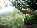Biosfera- humedal del INBioparque, Heredia, Costa Rica