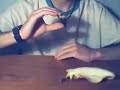 Finger Tricks Finger Tricks