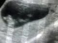 primer video de mi bebe