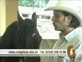 DOMA RACIONAL