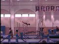 Auburn Intrasquad Vault and bars